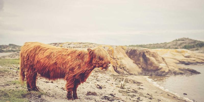 翠马台淘宝防坑指南：5大现代作伪手法揭秘，识破仿古珠宝的华丽骗局